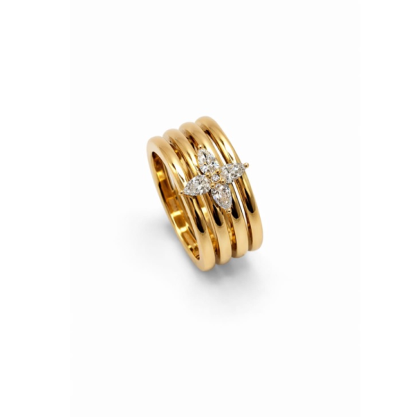 Ring Mariani