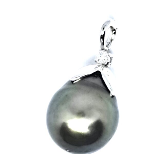 Hanger 'Tahitian Beauty'